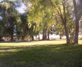 La Finca de Buen Orden - San Martín - 3