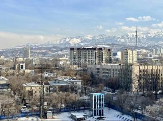 Студия ТЕРРАКОТА в центре с шикарным видом на горы - Almaty - 8