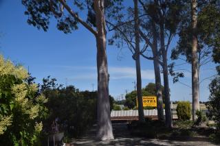 Riviana Motel - Deniliquin - 2