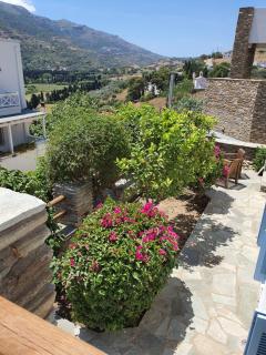 Karaoulanis Apartments - Andros - 6
