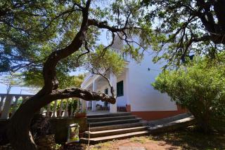 Apartmani Badurina - Crnika - 9