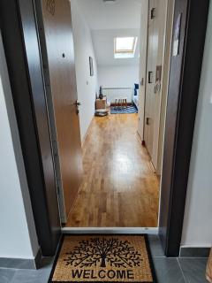 Zvezdara blue star - 8