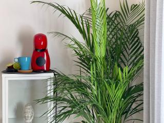 Cozy studio centr Torremolinos - 1