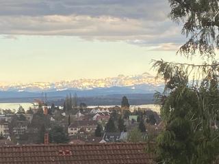 Alpenblick - Überlingen - 8