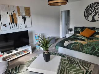 Gîte Le Petit Anzan en Indre et Loire - Noizay - 2