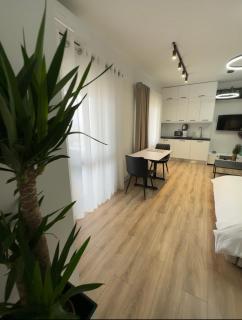 Intercontinental Apartments Tirana City Center - Tirana - 5