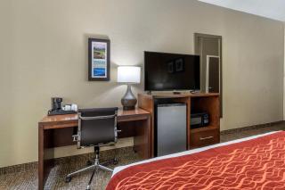 Comfort Inn South - Kingsport - 5