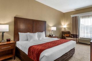 Comfort Inn South - Kingsport - 3