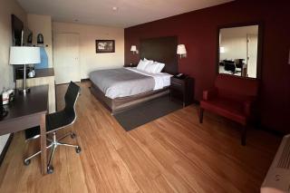Quality Inn & Suites I-10 near Fiesta Texas - San Antonio - 9