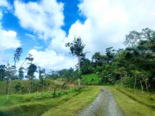 Solar Energy, 100% private rustic mountain getaway - Rio Celeste - 8