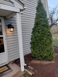 Cozy Beautiful Luxury Townhouse - Frederick - 7