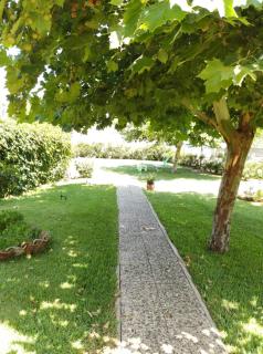 Calma Kourouta Apartments - Kourouta - 3