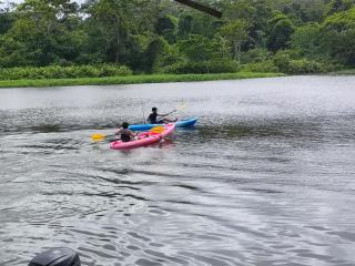 Cabañas Daneysha - Tortuguero - 6
