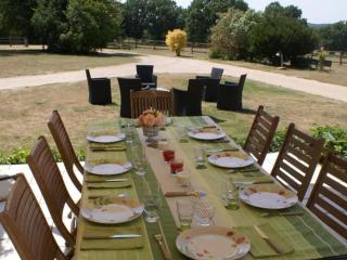 Charmante maison du XVe avec piscine, jardin et terrasse en lisière de la forêt de Tronçais - FR-1-489-217 - Le Brethon - 3