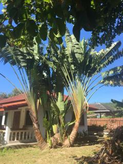 Samui Garden Resort - Bangrak Beach - 2