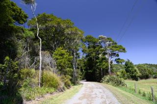 The Hen House - Kaipara Flats - 9