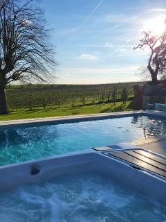 Best view, pool and spa on the Champagne vineyard - 5