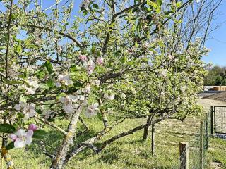 Appartement 4 au calme dans le Sauternais - 9