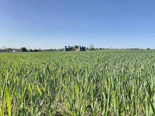 Appartement 4 au calme dans le Sauternais - 7