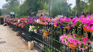 Heritage Luxury Suites All Suite Hotel - Lahore - 8