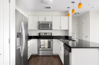 Cambridge 2BR w WD Private access to Linr Park BOS-362 - Somerville - 6
