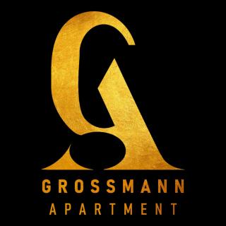 Grossmann Apartment - Ljutomer - 5
