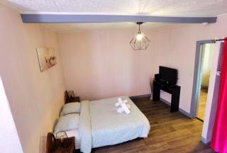 Appartement T1 bis quartier du château de Pau - Pau - 4