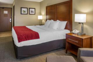 Comfort Inn Colville - 2