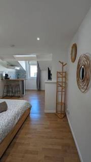 2e Grand Studio Agen Hyper Centre - Clim - Jacobins - Agen - 7