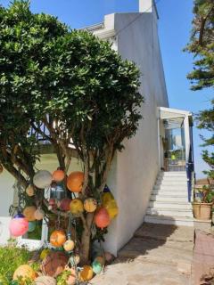 Gîte Ker Ch'ti - Saint-Pierre-Quiberon - 8