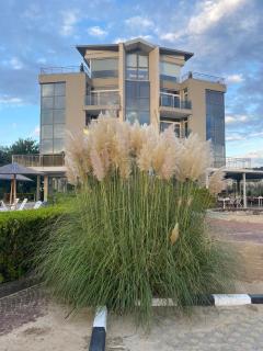 STUDIO 31 South Pearl Homes - Sosopol - 6