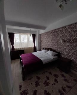 Blue Joy Bukovina Aparthotel - 2