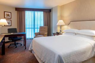 Sheraton Houston Brookhollow Hotel - Houston - 1
