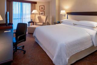 Sheraton Houston Brookhollow Hotel - 1