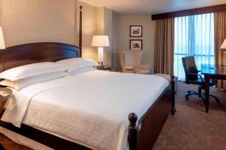 Sheraton Houston Brookhollow Hotel - Houston - 7