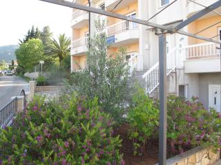 Apartments Mia - Stari Grad - 3