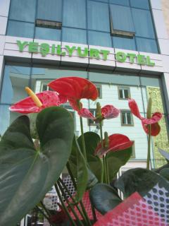 Yeşilyurt otel - Antalya - 0