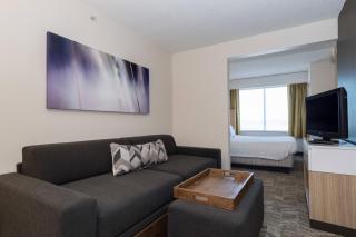 SpringHill Suites by Marriott Charlotte / Concord Mills Speedway - 1
