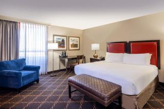 Austin Southpark Hotel - Austin - 4