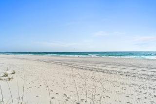 Harbur Arms - Pet Friendly - Panama City Beach - 5