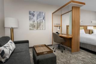 SpringHill Suites by Marriott Tuscaloosa - Tuscaloosa - 6