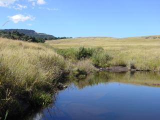 Rockwood Karkloof Forest Lodge & Mountain Cabin - Karkloof Nature Reserve - 4