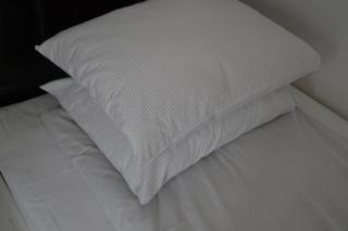 Lilla Hotellet Bed & Breakfast i Alingsås - 1