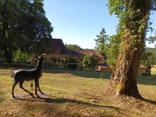 le petit gite Maison Croix du Sud - Saint-Amand-de-Vergt - 5