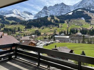 2-Zimmer Studio mit grossem Balkon und Bergpanorama - 400m von Talstation Sillerenbahn - Adelboden - 4