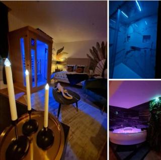 Escapade Mâconnaise Spa-Sauna-Ciel de pluie tropicale-Champagne Nuit Romantique - Mâcon - 0