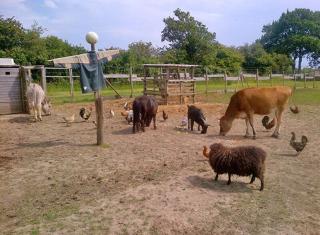 Camping Les Moutiers-en-Retz - Prigny - 3