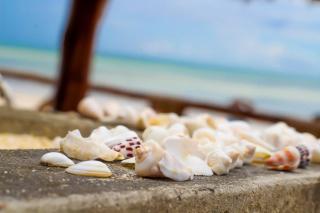 Villa Sunshine House ZANZIBAR - Jambiani - 1