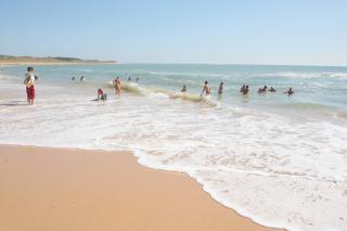 Camping Saint-Georges d'Oléron - Saint-Georges-d'Oléron - 3