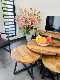 Villa Color Breeze - Willemstad - 3